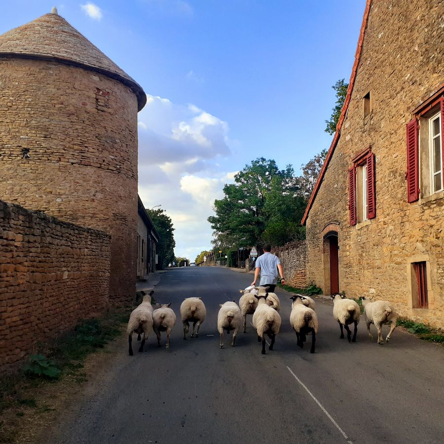 Welcome to the Taizé website!